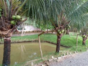 WhatsApp Image 2026-03-04 at 11.33.33 (1)