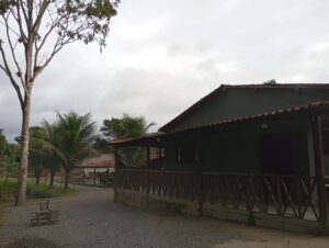 WhatsApp Image 2026-03-04 at 11.33.33